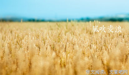 《风吹吧麦浪》好看吗？经典影评锦集