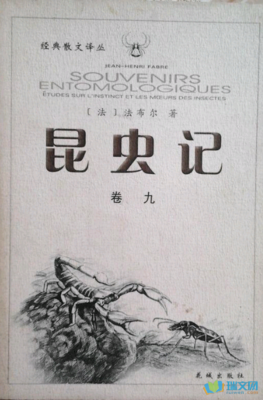 感悟好词好句