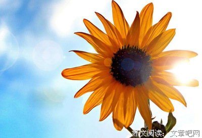 《哲她带来眼天》的句子
