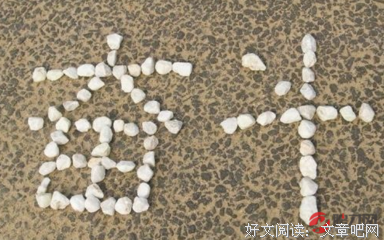 小家越住越美的极简收纳术读后感100字