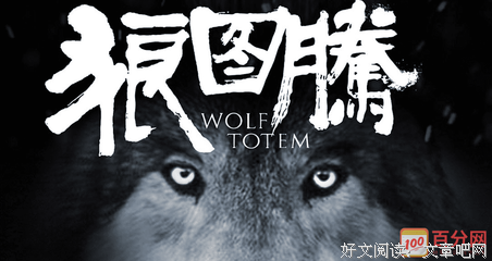 荒野之狼经典读后感有感