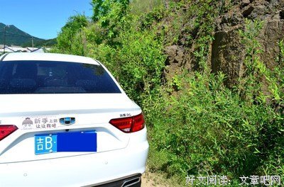 《我是不一样的小画家》读后感精选