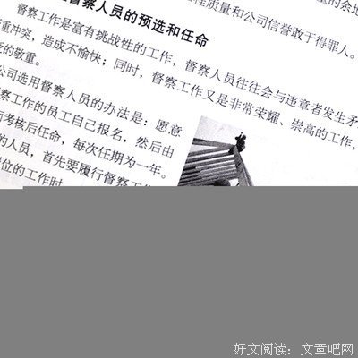《DevOps实施手册 在多级IT企业中使用DevOps》的读后感大全