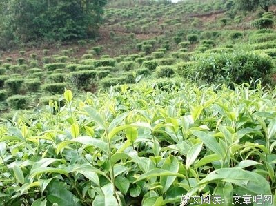 15条关于唐望的经典语句
