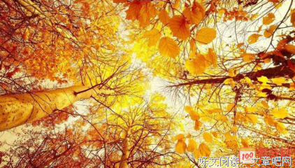 任秋的名言_关于任秋的名言