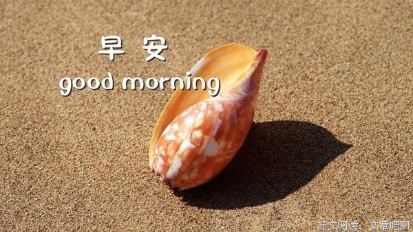 关于嘉丽的唯美语录