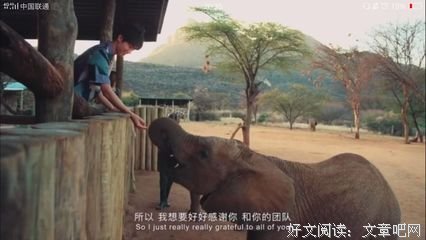 触心弦的句子