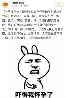 你怀孕怀傻了
