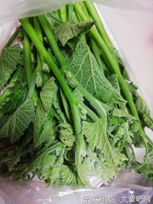 在家两个月，我把自己吃到穷