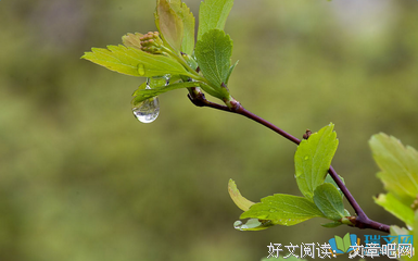 滑过心上的句子