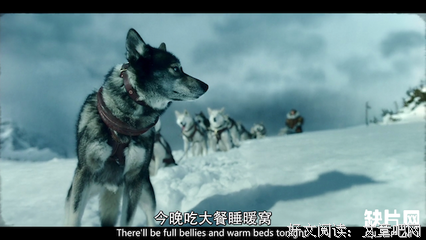 《奔跑的调查官》影评100字