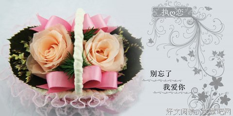 你是我永生不遇的海句子大全