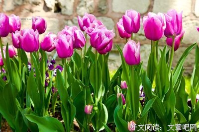 《人生如逆旅,我亦是行人》读后感摘抄