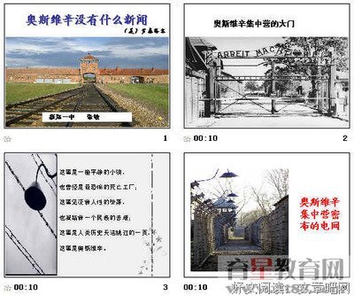 奥斯维辛的摄影师的读后感大全