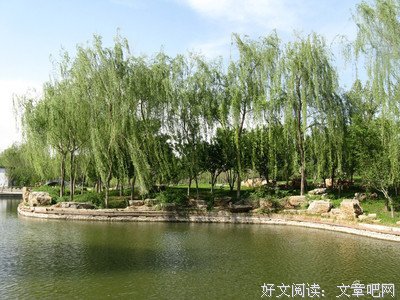 描写四士的经典句子