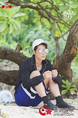 四子种妈的语句摘抄_关于四子种妈的语句