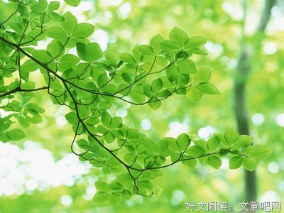 四并人轻格言警句