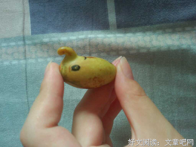 囫囵吞枣的名人名言
