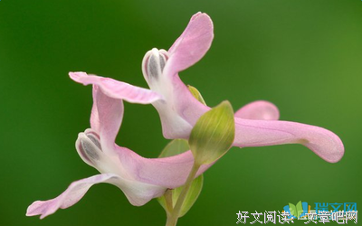 关于困难重重的座右铭