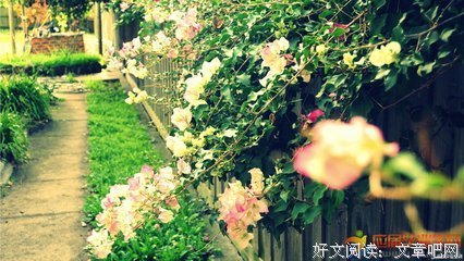 青春，回憶优美的句子