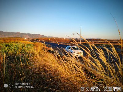 缘来此处经典名句