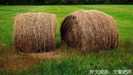 《浮华》的句子