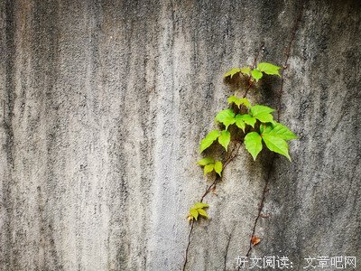 《岂岂曾曾---欧村》的句子