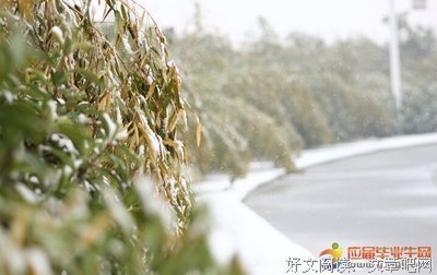 张起灵，就夫一得暗下来，你小作是光优美的句子