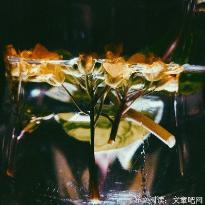 半亩方塘，一枕清欢