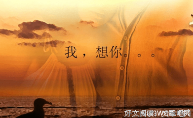 个人喜欢句子大全