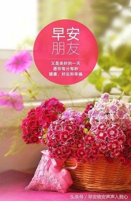 繁华落幕，为伊倾城的优美句子