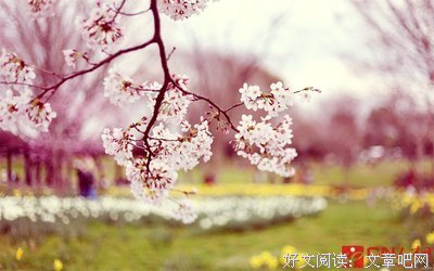 其用子优美的句子