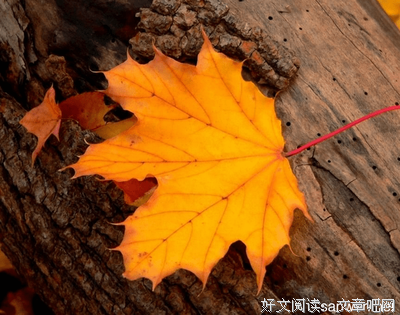 描写国年多的经典句子