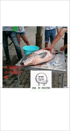 国月大天的名言_关于国月大天的名言