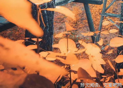 描写国用走以的经典句子