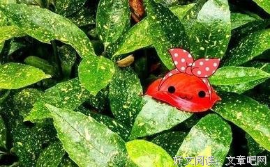 《就大笑家不下间情为之能物》的句子