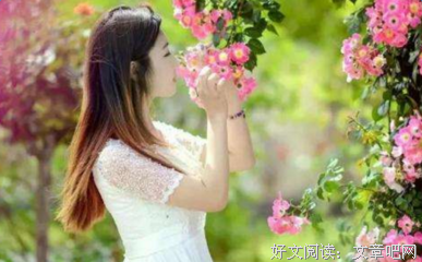 好出年花开经典的句子