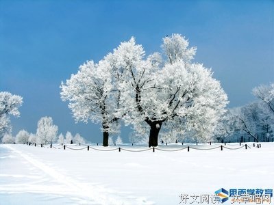 偶遇的优美句子
