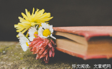 同居情侣们睡前关灯后的半小时