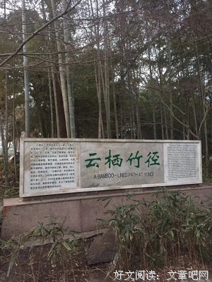 随缘即是安
