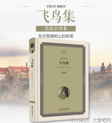 最全的《吉檀迦利》小说摘抄