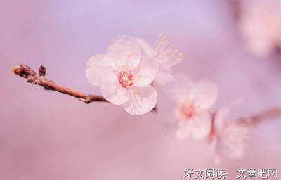 美文名句*~*沧月成利国句子大全