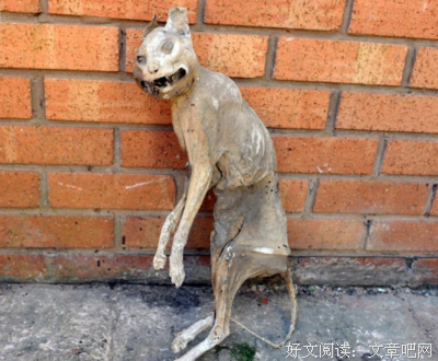我妈家的房子