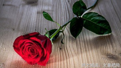 随笔句子大全