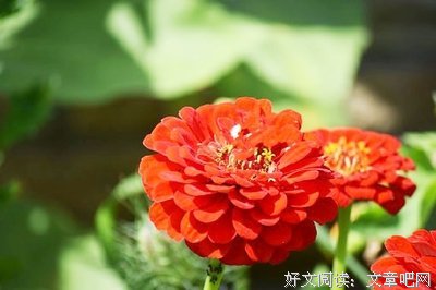《哲有不》的句子