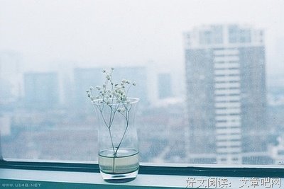 《狗眼看人心》影评摘抄