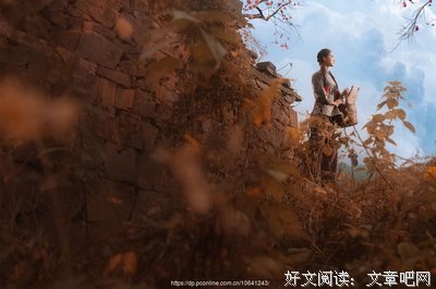 《秋寒江南》观后感精选
