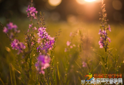 地到离经典的句子