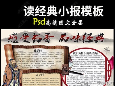 《同情者》经典读后感有感