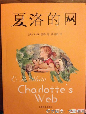 《撒野 一》经典读后感有感